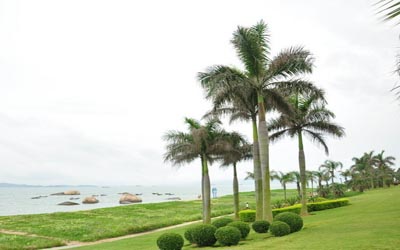 厦门鼓浪屿.厦门大学.环岛路三天汽车团（纯玩团）