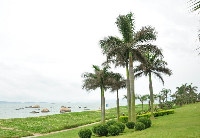 厦门鼓浪屿+温泉（SPA）三天汽车团